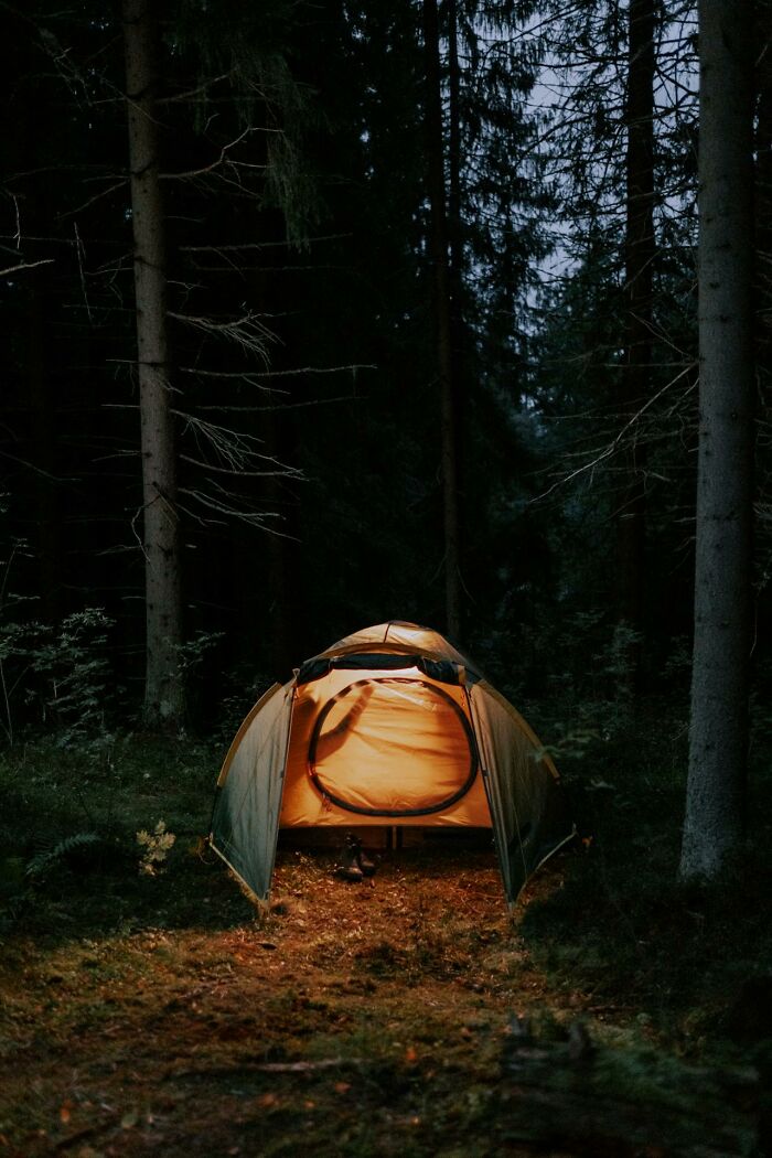 Glowing tent set up in a dark forest, evoking creepy and bizarre encounters witnessed by park rangers and hikers.