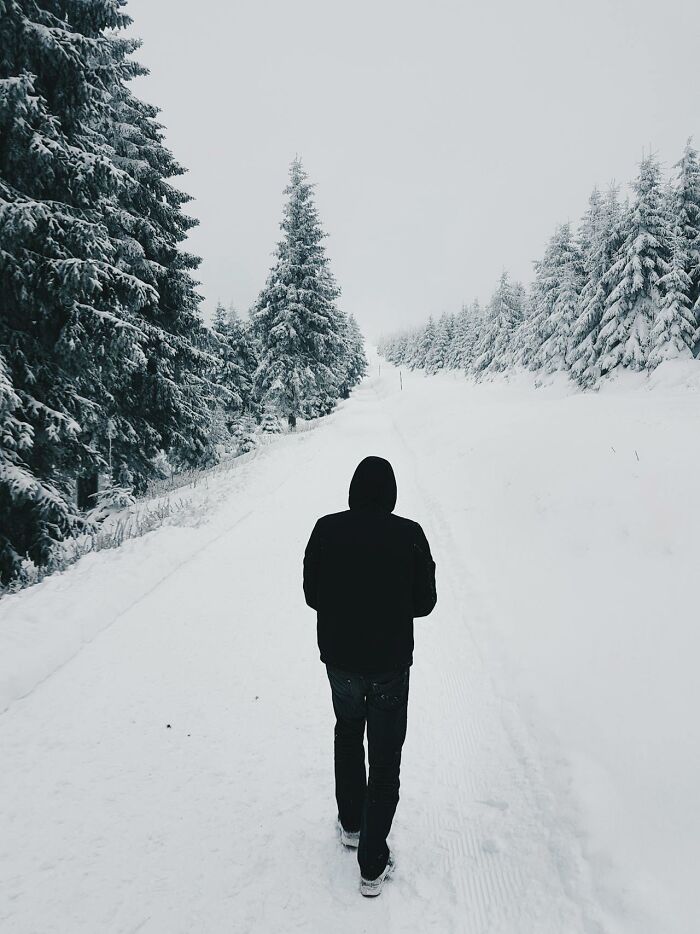 Person in a black hoodie walking alone on a snowy path surrounded by snow-covered trees, creating a creepy park ranger vibe