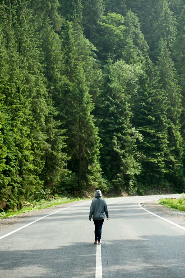 Person walking alone on a winding road surrounded by dense forest, capturing creepy and bizarre park ranger and hiker moments