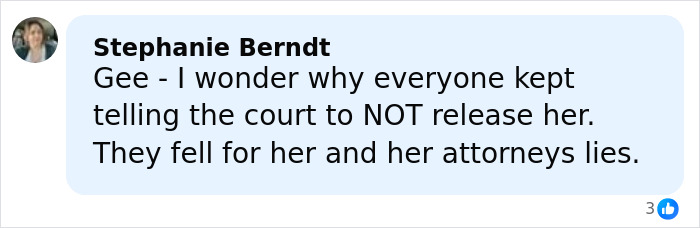 Comment by Stephanie Berndt expressing disbelief about court decisions and attorneys' lies related to the Slender Man attacker case. Comment by Stephanie Berndt expressing disbelief about court decisions and attorneys' lies related to the Slender Man attacker case.