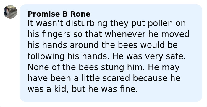 Comment explaining safety measures during the filming of the tragic scene from My Girl with Macaulay Culkin and bees. Comment explaining safety measures during the filming of the tragic scene from My Girl with Macaulay Culkin and bees.