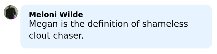 Comment from Meloni Wilde calling Megan a shameless clout chaser amid Meghan Markle Veterans Day post controversy.