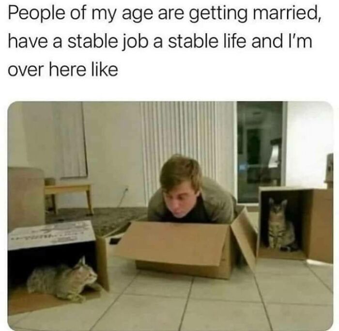 Person lying in a cardboard box on the floor with cats in other boxes, a funny cat meme for cat meme lovers.