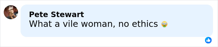 Screenshot of a social media comment criticizing an influencer who snatched a baby wombat on camera. Screenshot of a social media comment criticizing an influencer who snatched a baby wombat on camera.