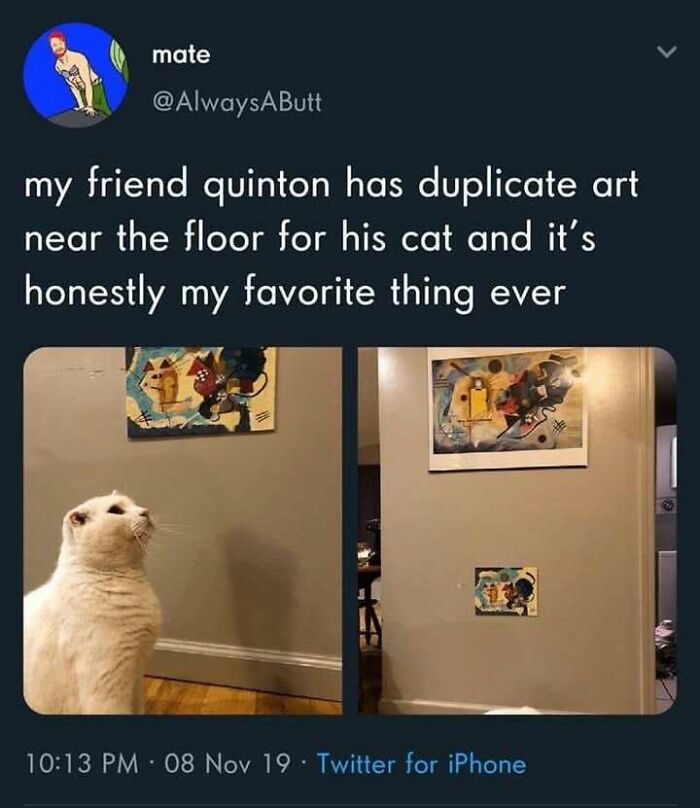 Tweet showing a cat looking at duplicate art near the floor, a funny moment perfect for cat memes lovers.