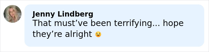 Comment from Jenny Lindberg expressing concern for a terrified girl on roller coaster after seat belt pops open.