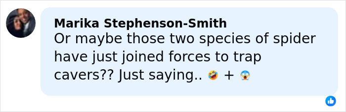 Comment mentioning two spider species potentially joining forces to trap cavers, relating to the world’s biggest spider web discovery. Comment mentioning two spider species potentially joining forces to trap cavers, relating to the world’s biggest spider web discovery.