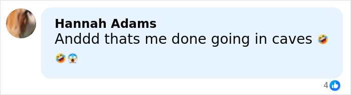 Comment from Hannah Adams expressing fear and deciding not to go in caves after seeing the world’s biggest spider web, with laughing and shocked emojis. Comment from Hannah Adams expressing fear and deciding not to go in caves after seeing the world’s biggest spider web, with laughing and shocked emojis.