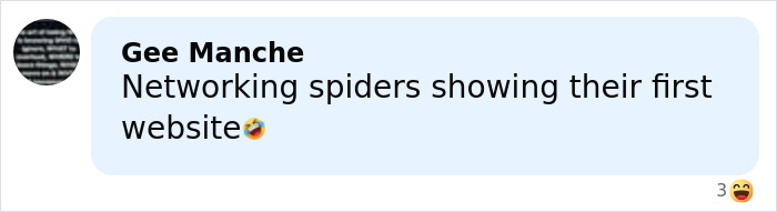 Comment about networking spiders humorously referencing website creation, related to the world’s biggest spider web discovery. Comment about networking spiders humorously referencing website creation, related to the world’s biggest spider web discovery.