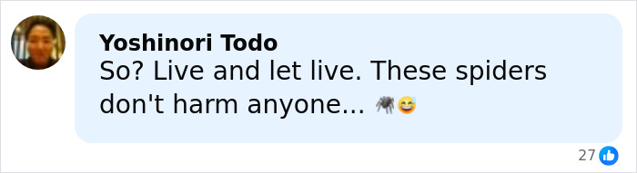 Comment by Yoshinori Todo discussing spiders peacefully coexisting, accompanying a post about the world’s biggest spider web discovery. Comment by Yoshinori Todo discussing spiders peacefully coexisting, accompanying a post about the world’s biggest spider web discovery.