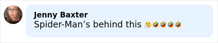 Comment mentioning Spider-Man with laughing emojis reacting to the world’s biggest spider web discovery. Comment mentioning Spider-Man with laughing emojis reacting to the world’s biggest spider web discovery.
