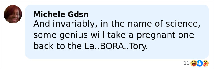 Comment by Michele Gdsn expressing concern about science and referencing a pregnant spider in relation to the world’s biggest spider web. Comment by Michele Gdsn expressing concern about science and referencing a pregnant spider in relation to the world’s biggest spider web.