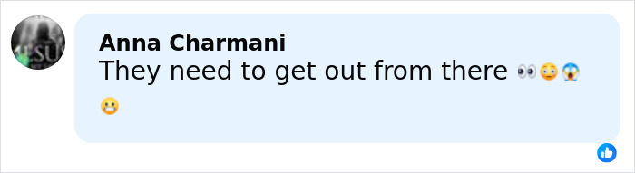 Comment on post about the world’s biggest spider web, expressing concern with eye, shocked, and scared face emojis. Comment on post about the world’s biggest spider web, expressing concern with eye, shocked, and scared face emojis.