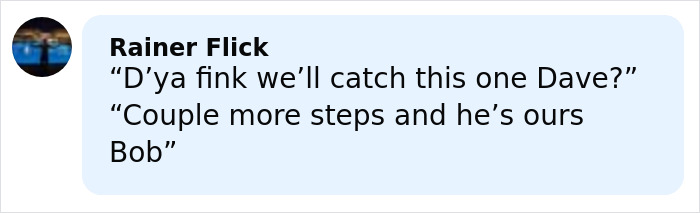 Comment box with user Rainer Flick joking about catching someone named Dave, referencing the world’s biggest spider web discovery. Comment box with user Rainer Flick joking about catching someone named Dave, referencing the world’s biggest spider web discovery.