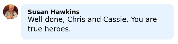 Comment from Susan Hawkins praising Chris and Cassie as true heroes for saving terrified girl on a roller coaster with 205-foot drop.