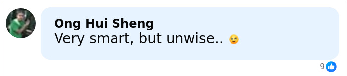 Comment saying very smart but unwise with a winking emoji, related to South Korea asylum controversy Comment saying very smart but unwise with a winking emoji, related to South Korea asylum controversy