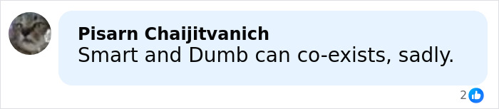 Screenshot of a Facebook comment stating smart and dumb can coexist, related to the world’s smartest man from South Korea mocked online. Screenshot of a Facebook comment stating smart and dumb can coexist, related to the world’s smartest man from South Korea mocked online.