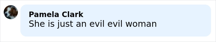 Screenshot of a social media comment calling a woman evil, related to influencer who snatched baby wombat getting arrested. Screenshot of a social media comment calling a woman evil, related to influencer who snatched baby wombat getting arrested.
