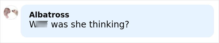 Screenshot of a social media comment reacting to the influencer who snatched baby wombat on camera and was arrested. Screenshot of a social media comment reacting to the influencer who snatched baby wombat on camera and was arrested.