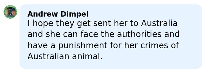 Comment by Andrew Dimpel expressing hope that influencer who snatched baby wombat faces punishment from Australian authorities. Comment by Andrew Dimpel expressing hope that influencer who snatched baby wombat faces punishment from Australian authorities.