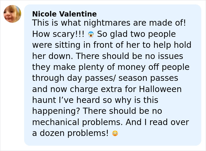 Comment expressing fear about roller coaster seat belt issue and relief that couple saved terrified girl on ride with 205-foot drop.