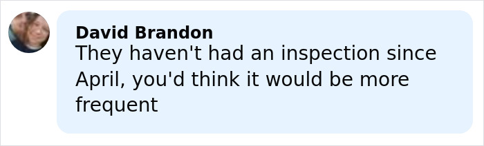 Comment by David Brandon expressing concern about infrequent roller coaster safety inspections since April.