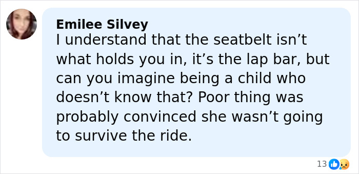 Comment highlighting a terrified girl’s seat belt issue on a roller coaster with a 205-foot drop and a couple saving her.