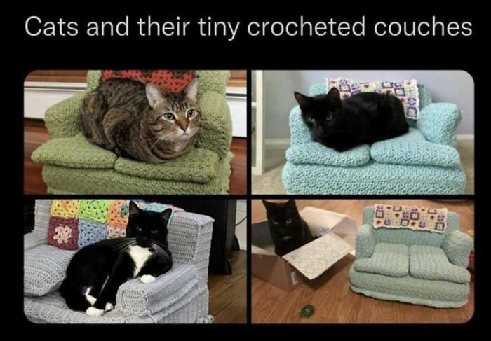 Four cats sitting on or near tiny crocheted couches, showcasing adorable cat memes with cozy handmade furniture.