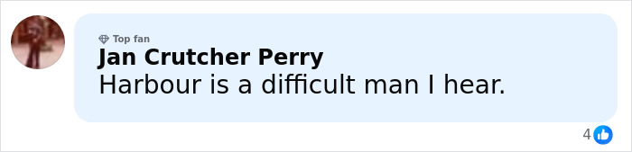 Comment by Jan Crutcher Perry stating Harbour is a difficult man, related to Millie Bobby Brown and David Harbour&rsquo;s complex relationship.