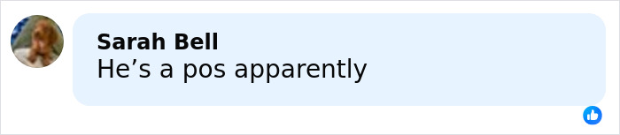 Text message conversation mentioning a negative opinion related to Millie Bobby Brown and David Harbour&rsquo;s complex relationship.