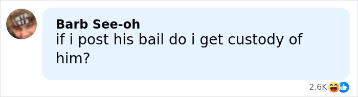 Comment on social media post asking if posting bail would grant custody of the man involved in the viral mugshot incident. Comment on social media post asking if posting bail would grant custody of the man involved in the viral mugshot incident.