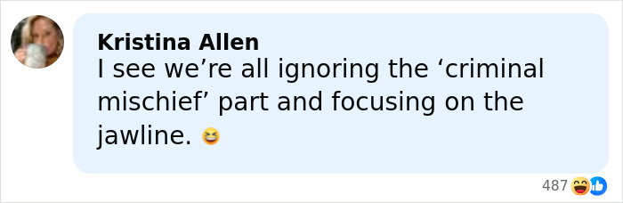 Comment on social media post about a man’s hot mugshot, noting focus on his jawline over the criminal mischief charge. Comment on social media post about a man’s hot mugshot, noting focus on his jawline over the criminal mischief charge.