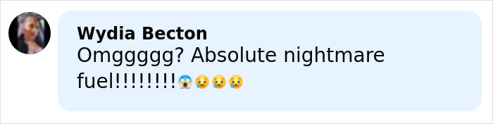 Comment by Wydia Becton expressing shock and fear about a terrifying roller coaster incident involving a seat belt malfunction.