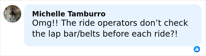 Comment expressing concern about ride operators not checking lap bars or seat belts before roller coaster rides.