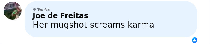 Comment on social media post showing text Her mugshot screams karma about former news anchor involved in tragic Halloween incident Comment on social media post showing text Her mugshot screams karma about former news anchor involved in tragic Halloween incident