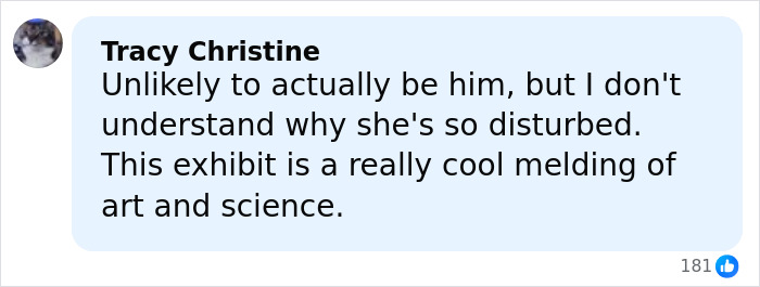 Comment by Tracy Christine expressing doubt about mom’s claim of skinned body in Las Vegas museum but praising the exhibit’s blend of art and science.
