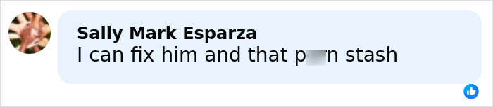 Screenshot of a Facebook comment discussing a man's viral mugshot known as the next Brad Pitt after a police incident. Screenshot of a Facebook comment discussing a man's viral mugshot known as the next Brad Pitt after a police incident.