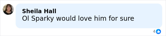 Commenter Sheila Hall expressing affection for Sparky with a light blue chat bubble on social media.