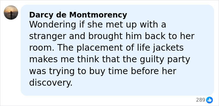 Comment from Darcy de Montmorency speculating about a stranger and life jackets related to a stepsibling investigation on a cruise. Comment from Darcy de Montmorency speculating about a stranger and life jackets related to a stepsibling investigation on a cruise.