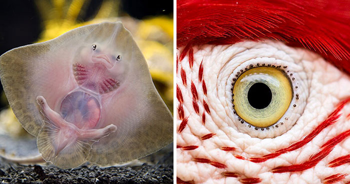 47 Incredible Moments From The Wild Captured By The Wikimedia Commons Community (New Pics)