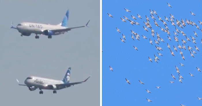 “Cabin Crew, Be Seated”: 43 Pilots Reveal Their Biggest Emergencies That The Passengers Were Oblivious To