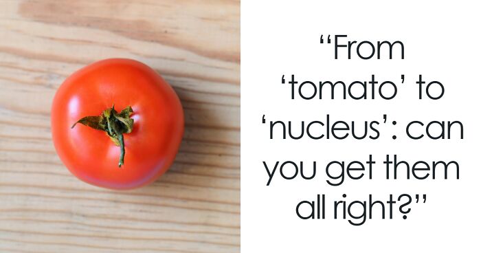 If You Can Type These 25 Plurals Without A Single Mistake, You’re A Language Master