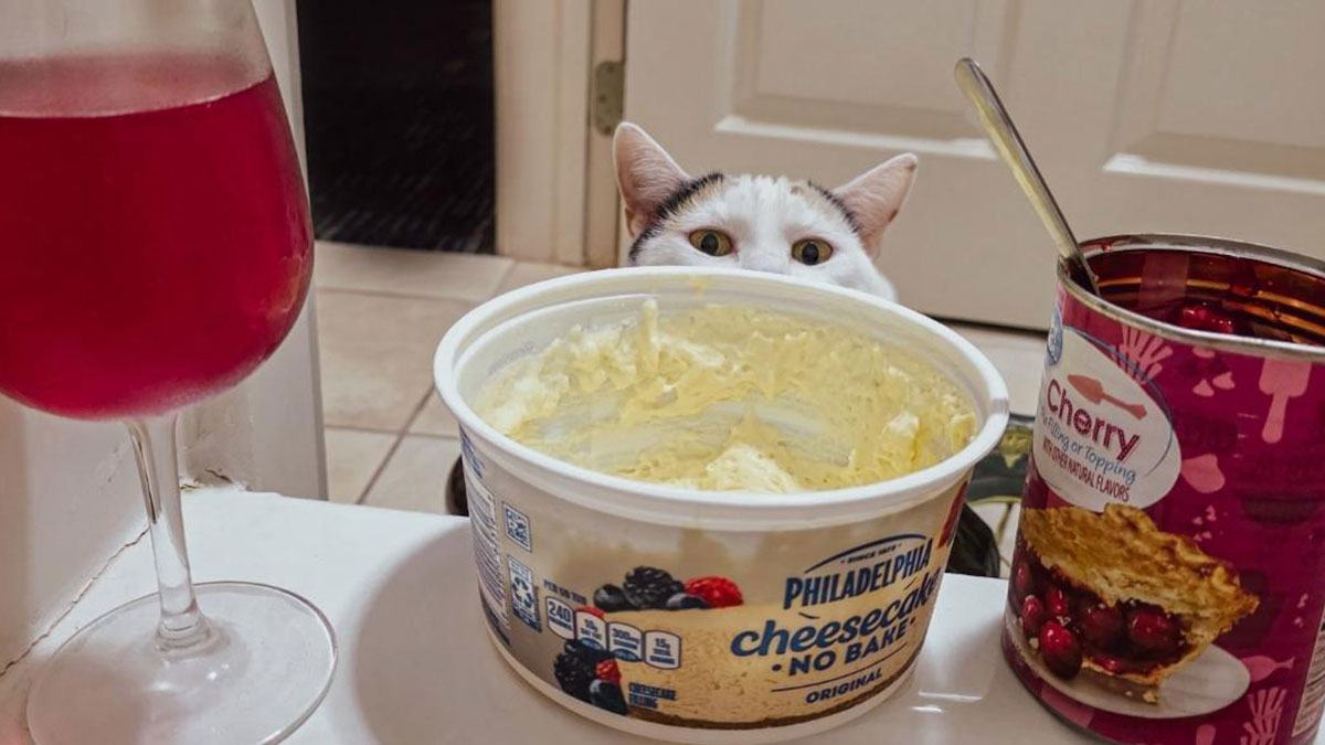Cat peeking over girl dinner combo snacks including cheesecake dip, cherry pie filling, and a glass of red beverage.