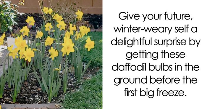 Your Future Self Will Worship You If You Do These 17 Garden Chores This Fall