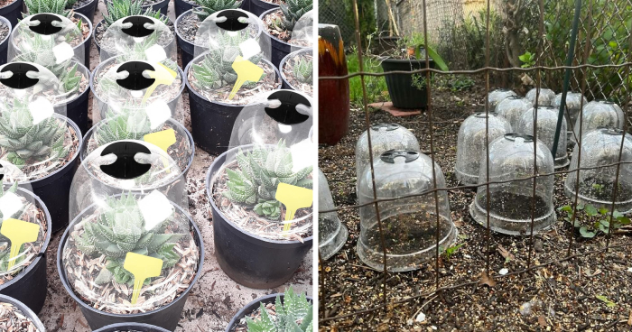 Your Future Self Will Worship You If You Do These 17 Garden Chores This Fall