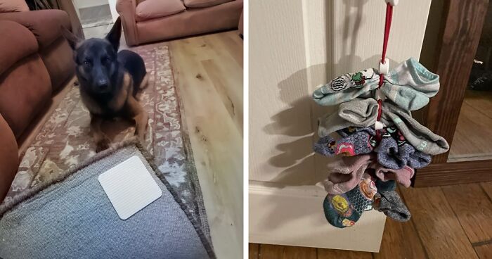 20 Products Under $20 To Solve All Those Annoying Little Problems That Drive You Insane