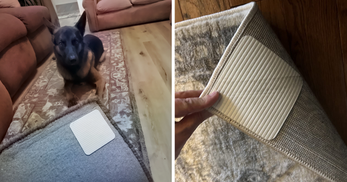 38 Funny Memes For Those Who Are In Need Of Their Daily Dose Of Laughter