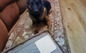 All 20 Of These Problem-Solvers Are Under $20, So You Can Basically Fix Your Whole Life