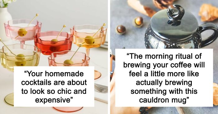 40 Pictures Of Animals Who Woke Up And Chose Nonsense