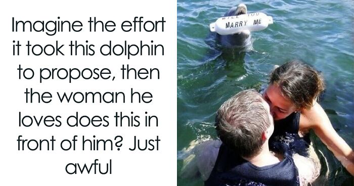 If You Need A Quick Laugh Today, These 70 Random Memes Might Just Do The Trick (New Pics)